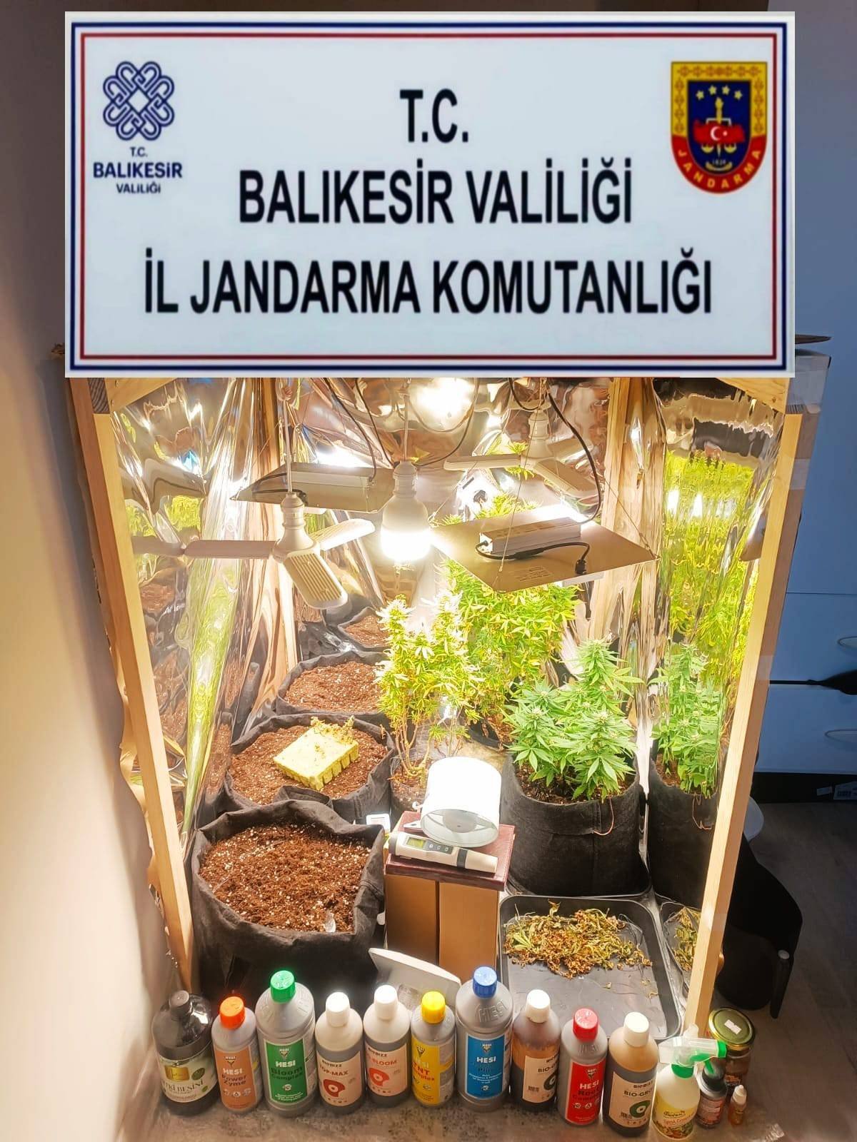 Balıkesir'de kaçakçılık ve organize suç operasyonu