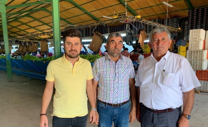 Yenişehir’den Avrupa’ya yılda 800 TIR biber ihraç ediliyor