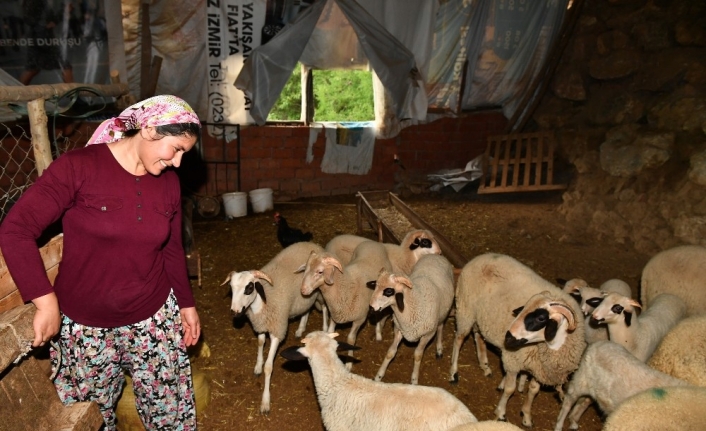 Güzelbahçeli kadın üreticinin başarı öyküsü