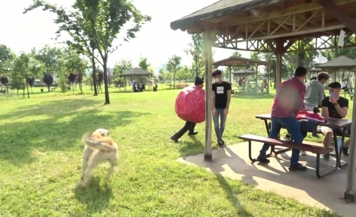 Korona virüs kılığına giren ünlü tiyatrocuyu köpek kovaladı