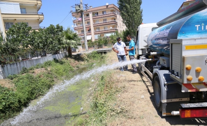 Edremit Belediyesi’nden su kaplumbağalarına can suyu