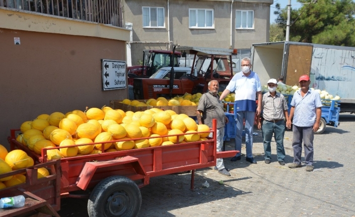 Bursalı çiftçiler kavun hasadından memnun