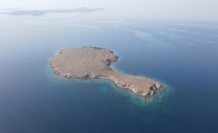 Ayvalık’ta Kız Adası’nın korunması sevinci