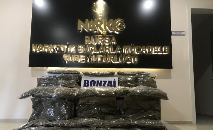 Bursa’da yapılan uyuşturucu operasyonunda 31 kilo bonzai ele geçirildi