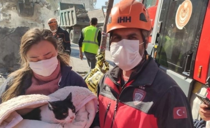 Enkazdan biri hamile dört kedi kurtarıldı