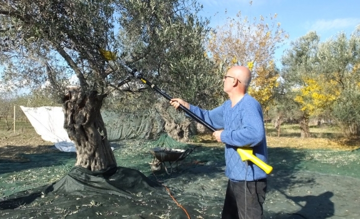 Balıkesir’de sokağa çıkma yasağı zeytin hasadına engel olmadı