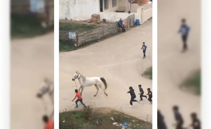 Bursa’da çocuklar yaralı atı böyle koşturdu