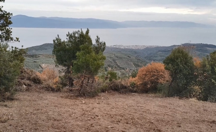 Korona virüsü fırsat bilen uyanıklar, devlet arazilerine kondu