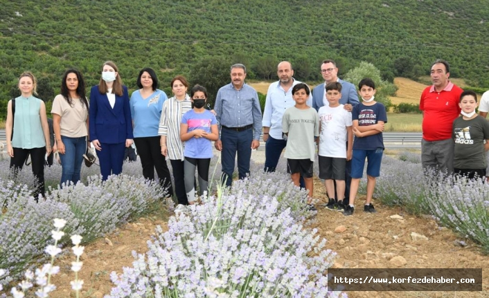 İvrindi'de lavanta ile adını duyuracak