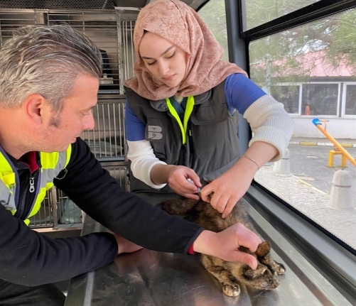 VETBÜS Nisan yolculuğuna Erdek’ten başladı 