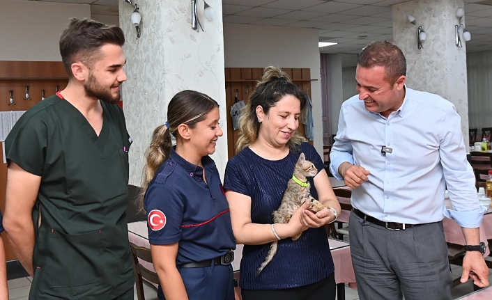 Büyükşehir’in şefkat eli minik kediyi iyileştirdi