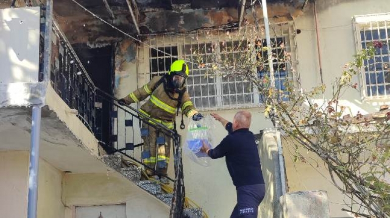 Karesi’de yangında muhabbet kuşu böyle kurtarıldı