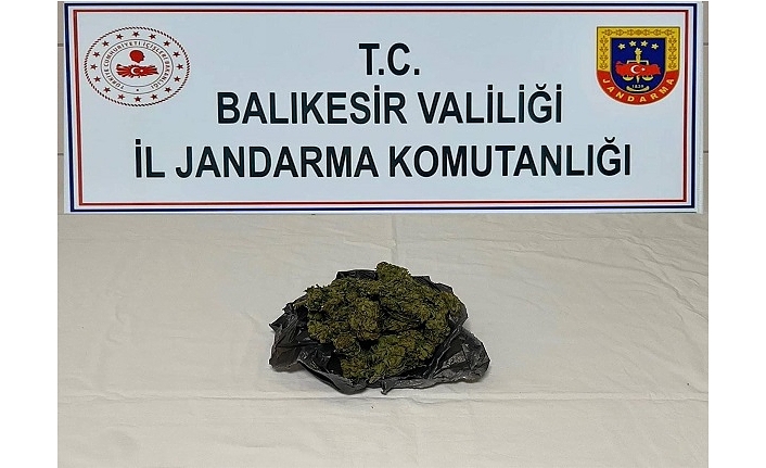 Balıkesir Jandarma’dan 9 ilçede operasyon