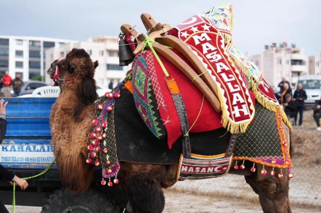 Burhaniye'de havut hayrı heyecanı