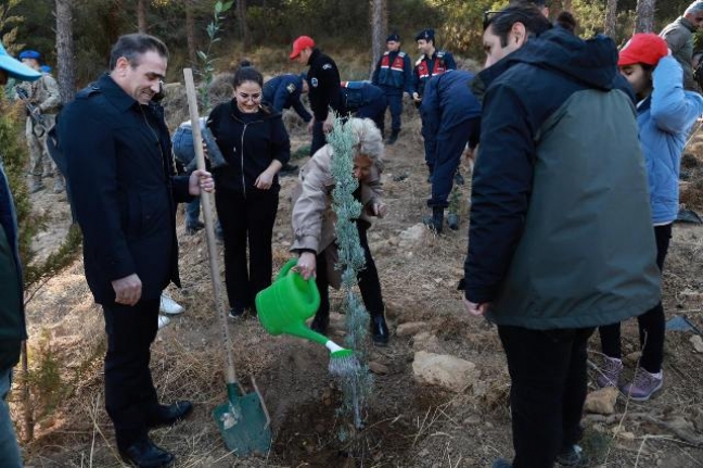 Burhaniye’de de fidanlar toprakla buluştu