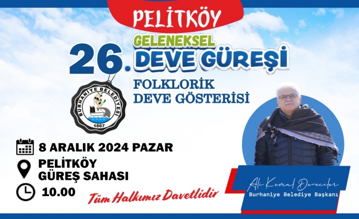 Pelitköy Deve Güreşleri İçin Geri Sayım Başladı