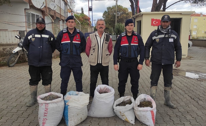 Yeşil altının bekçileri hırsızlara geçit vermiyor