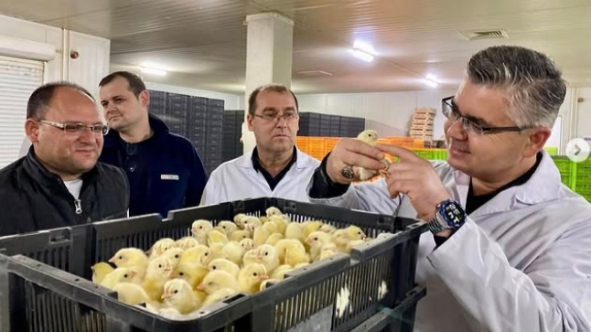 Türkiye'nin en büyük broiler kuluçkahanesinde üretim tam kapasite devam ediyor