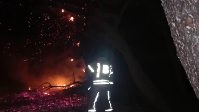 Bandırma’da çamlık alanda yangın çıktı