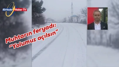 Havran'da muhtarın kar feryadı:'Yolumuz açılsın"