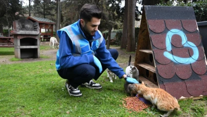 Büyükşehir her koşulda can dostların yanında