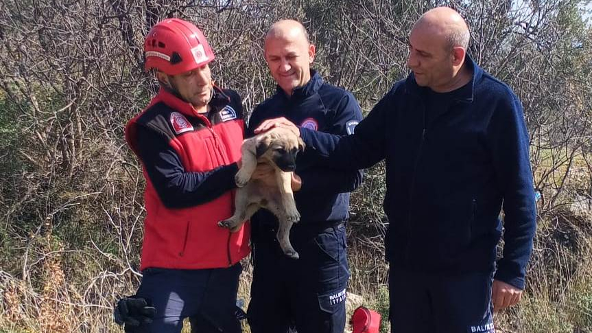 Havran’da mağaraya düşen köpeği itfaiye kurtardı