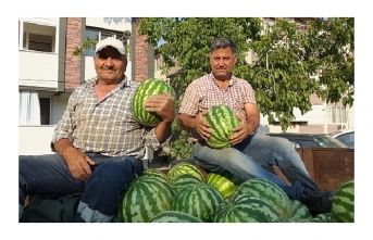 Burhaniye de karpuz çiftçinin yüzünü güldürdü