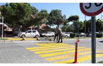 Yaya Geçitleri Yenileniyor