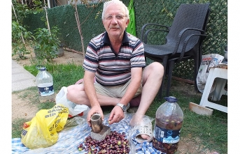 Burhaniye'de kırma zeytin sezonu başladı