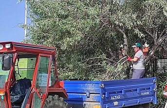 Ayvalık Belediyesi ekipleri kentin her yerinde..