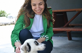 VETBÜS’ün tedavi ettiği can dost sahiplendirildi