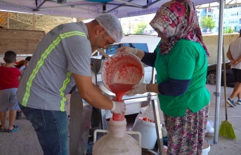 Ayvalık’ta salça zamanı