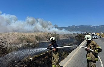 Balıkesir'de sazlık alanda yangın