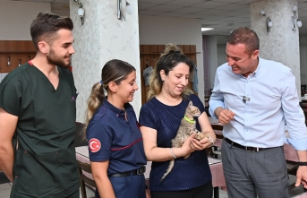 Büyükşehir’in şefkat eli minik kediyi iyileştirdi