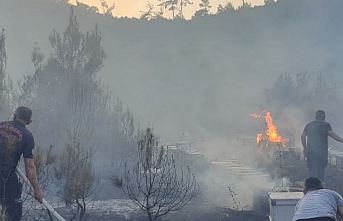 Çamlık mesire alanında korkutan yangın