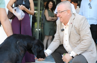 Edremit Belediye Başkanı Mehmet Ertaş sokak köpeğini sahiplendi