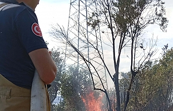 Erdek’te orman yangını