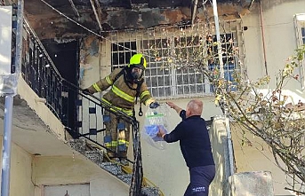 Karesi’de yangında muhabbet kuşu böyle kurtarıldı