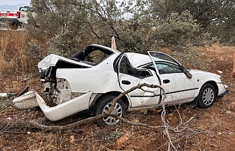 Gömeç'te kazada otomobil zeytin tarlasına uçtu