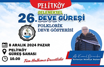 Pelitköy Deve Güreşleri İçin Geri Sayım Başladı