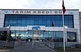 Koyun ve keçi sütüne rekor fiyat