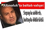 Edremit'te baltalı vahşet