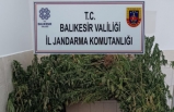 Balıkesir Polis & jandarma 24 saat 30.08.2023