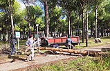 Ayvalık'ta Denizin Taşması Felakete Neden Oldu