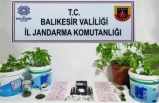 Balıkesir Polis & Jandarma 24 saat 06.01.2025