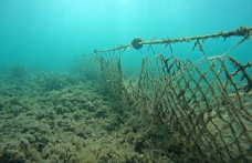 BBB, denizleri hayalet ağlardan arındırıyor