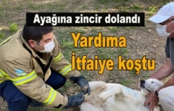 Sitenin bekçisine zincir dolandı