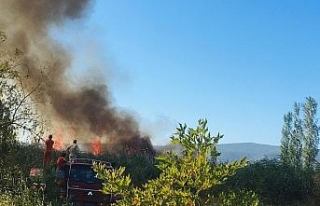 İznik’teki yangın söndürülemiyor