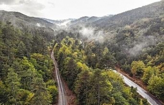 Kazdağları’nda hazan mevsimi