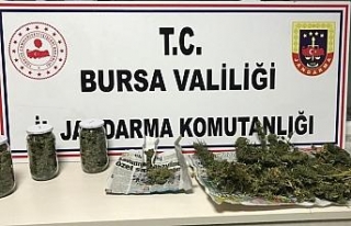 Jandarmadan uyuşturucu operasyonu